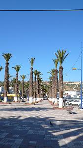 ORAN MARS 2012 51 arzew